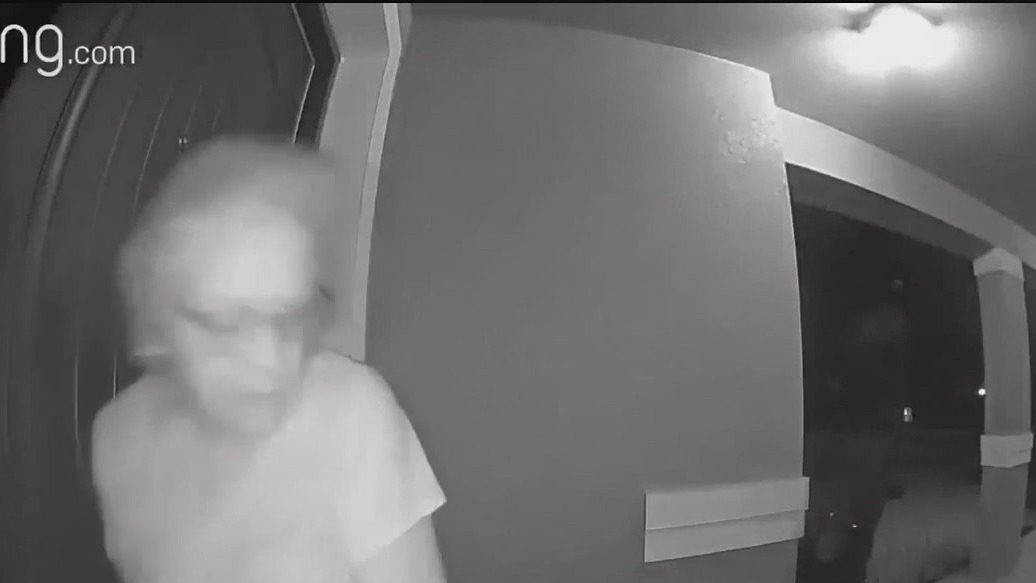 Bear startles woman, dog outside home